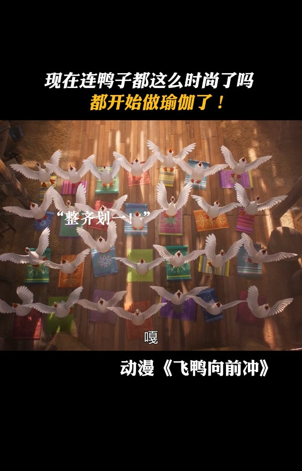 飞鸭向前冲:现在连鸭子都这么时尚了吗,都开始做瑜伽了!