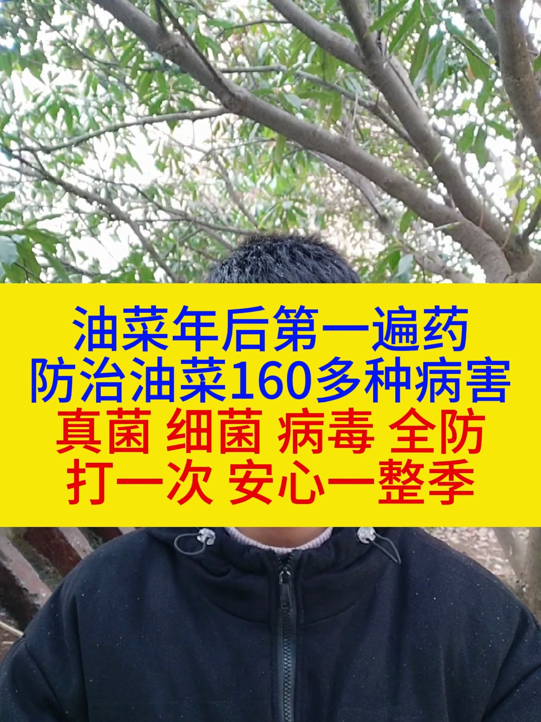 油菜病害全治,点击视频左下方购物车即可购买
