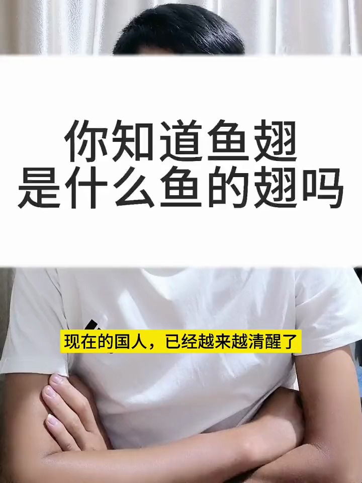鱼翅是什么鱼的翅?