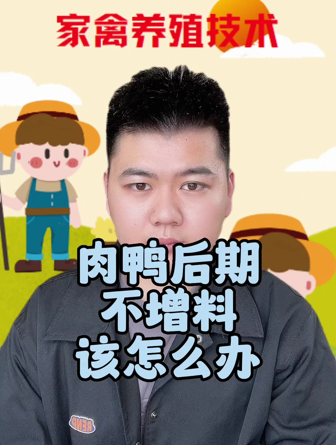 肉鸭后期不吃料怎么办肉鸭吃料减少的原因鸭子突然减料是怎么回事