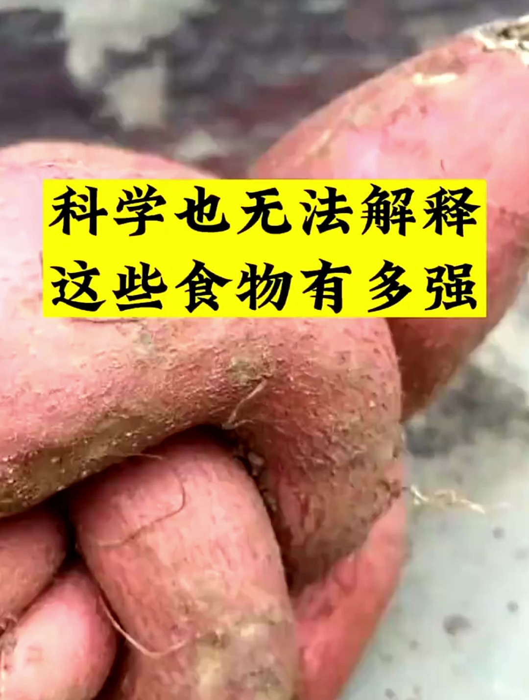 百病食疗大全,一本讲述食疗的书籍,是居家必备的实用好物