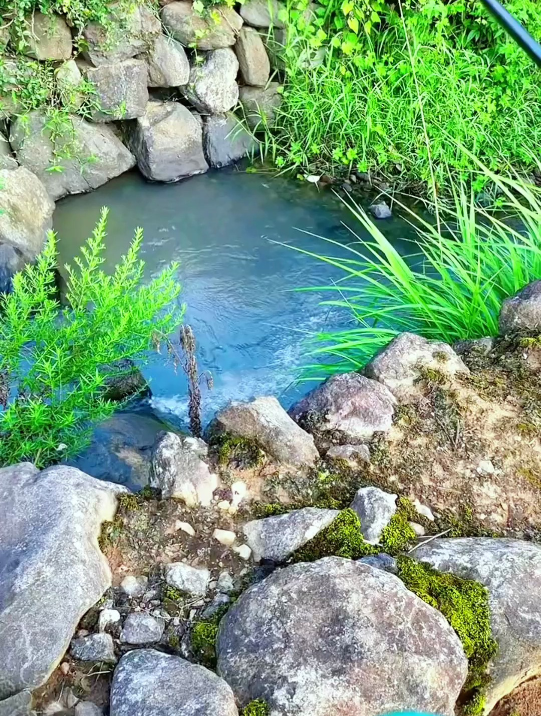 找石斑鱼钓点小技巧,分享给大家