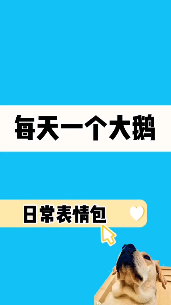 每天一个大鹅日常表情包