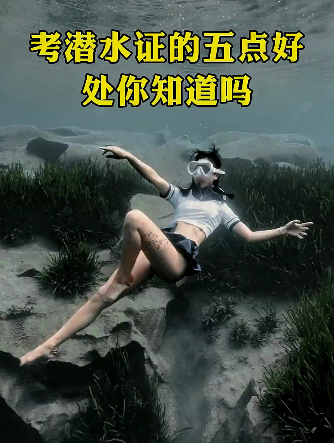 考潜水证有什么用自由潜水