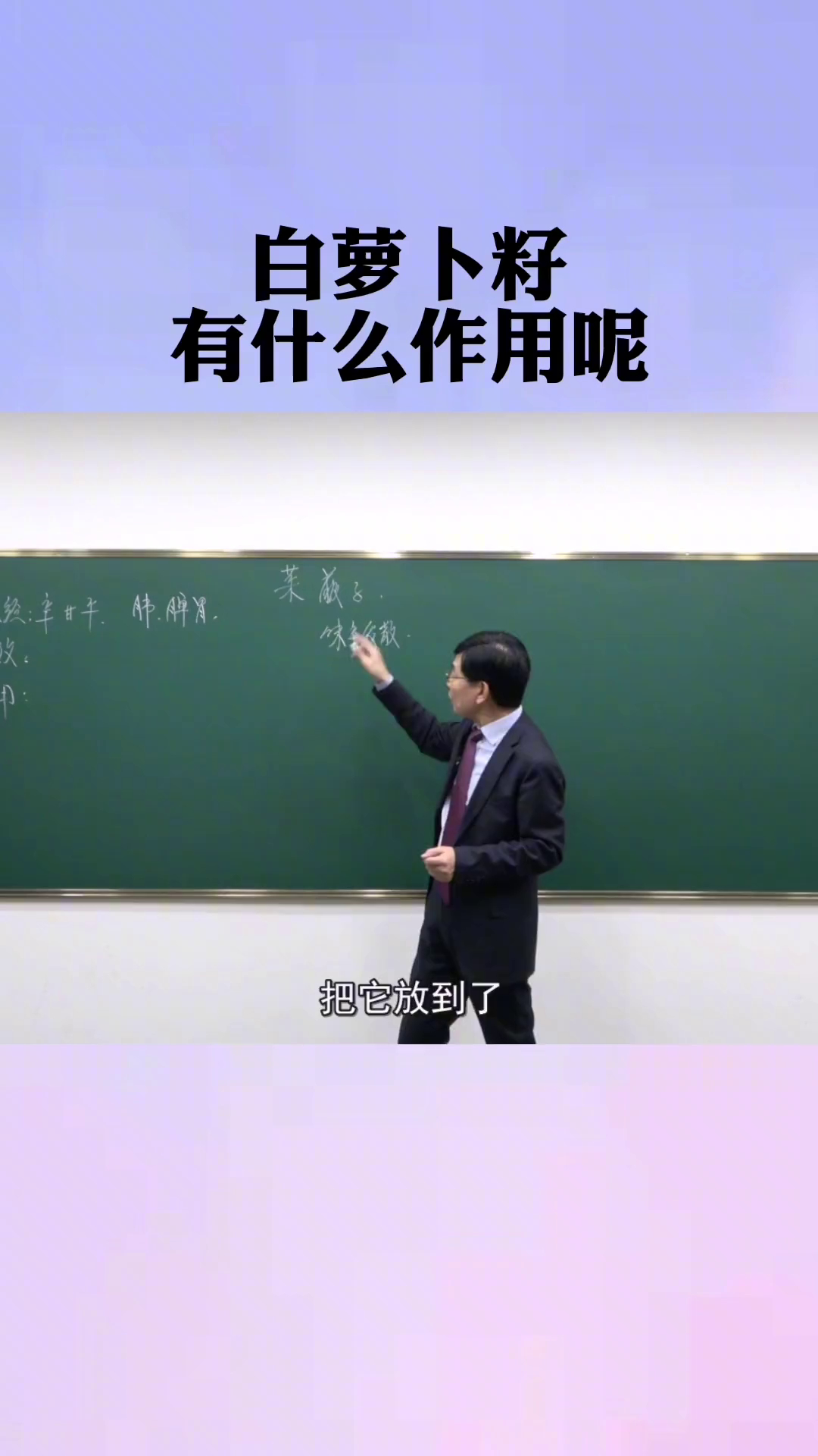 白萝卜籽有什么作用呢?