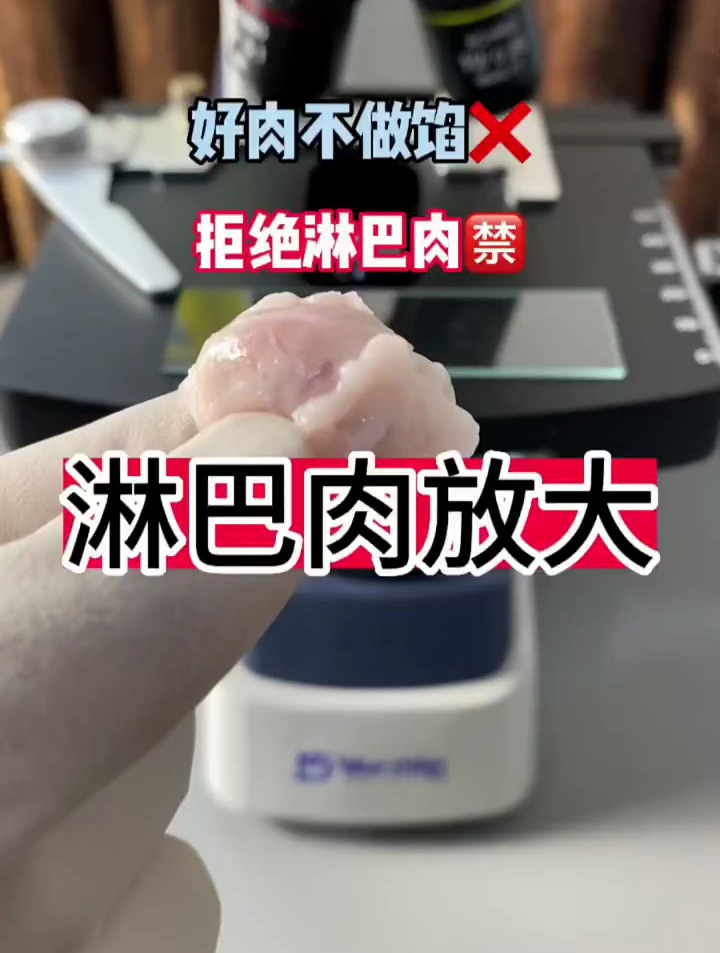 猪肉身上的淋巴肉放大后的样子