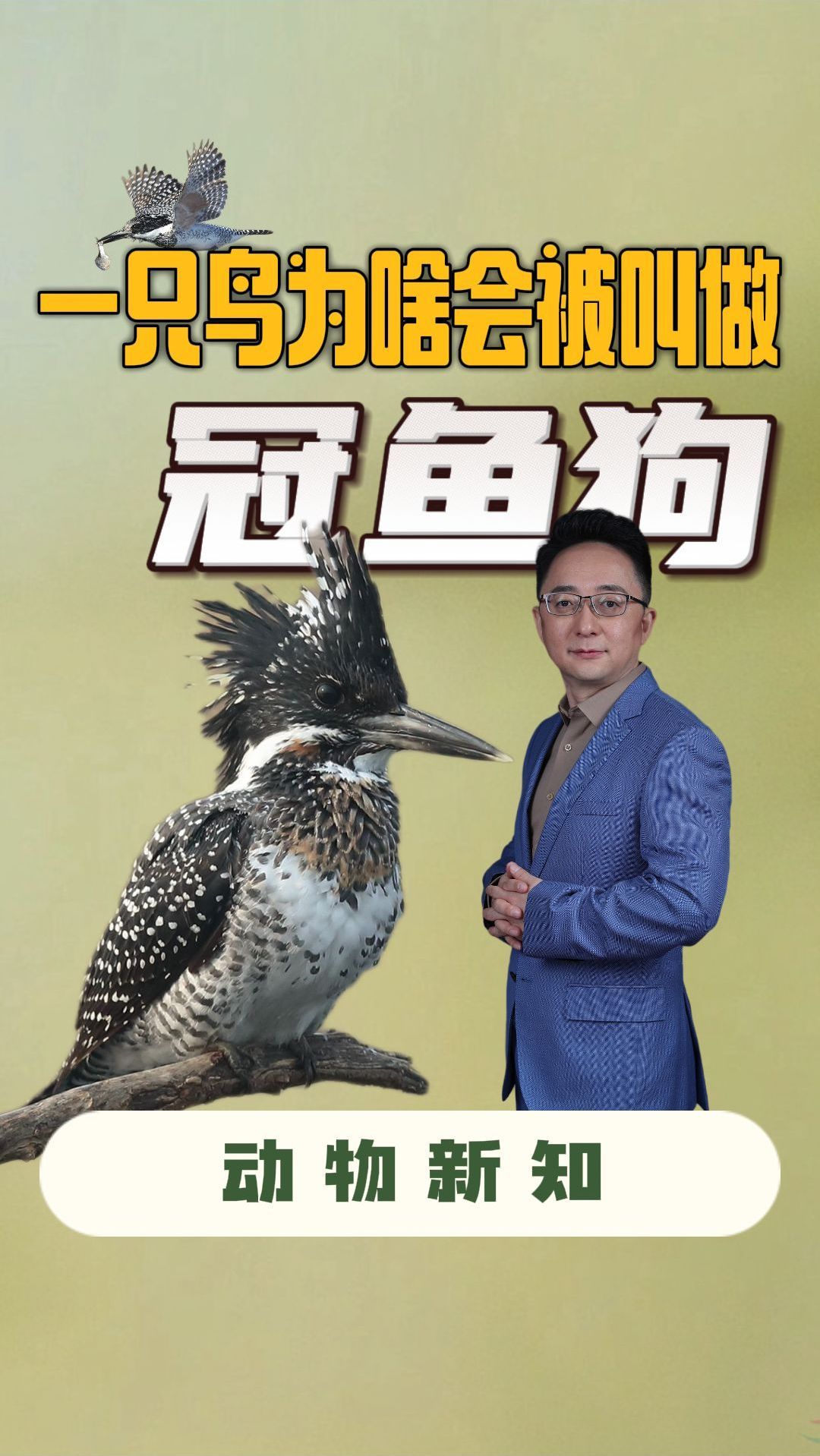 这是什么鸟?名字里面带鱼又带狗