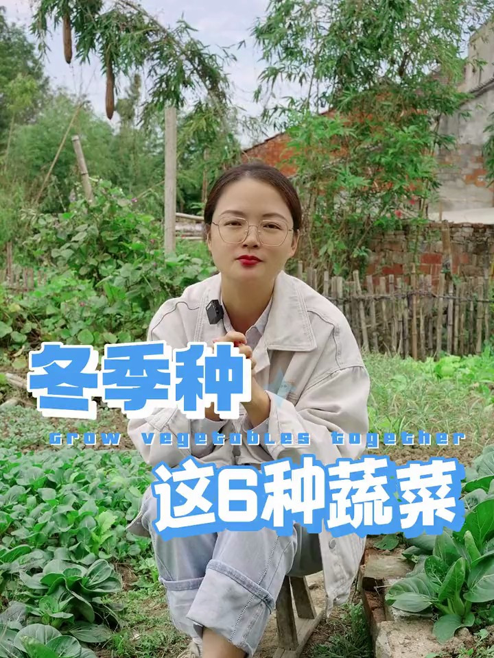 冬季还能种植哪些蔬菜呢?不懂快来看看