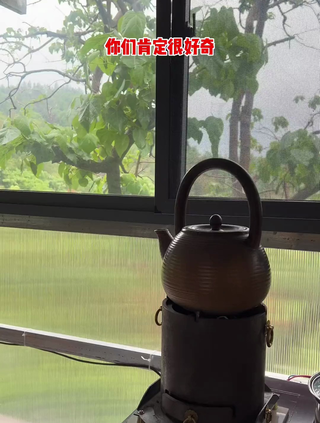 我在寺院的真实生活其实是这样的,也只是偷偷多吃了半碗饭而已