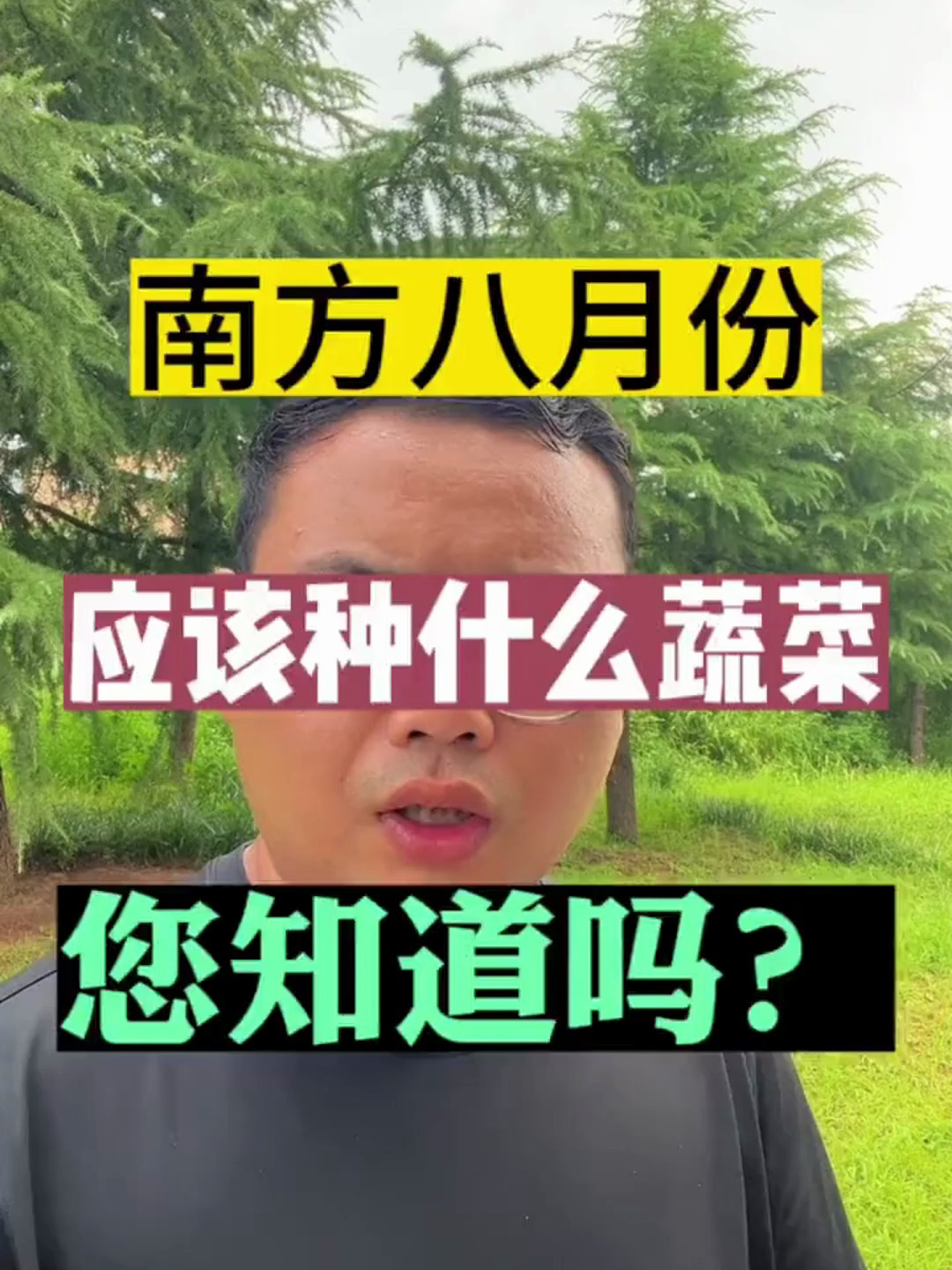 您知道南方八月份应该种植什么蔬菜吗