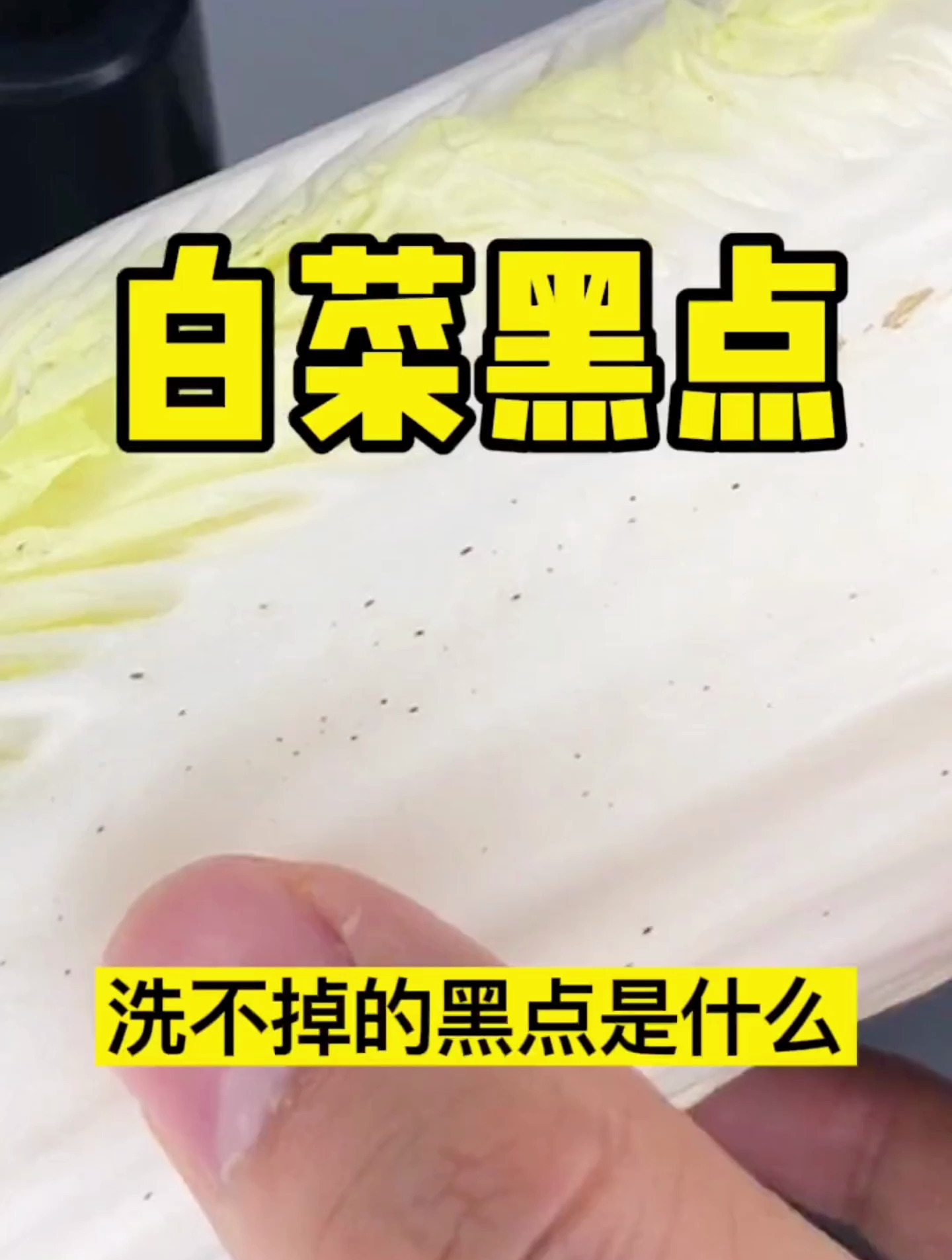 涨了黑点的白菜还能做乾隆白菜吗?