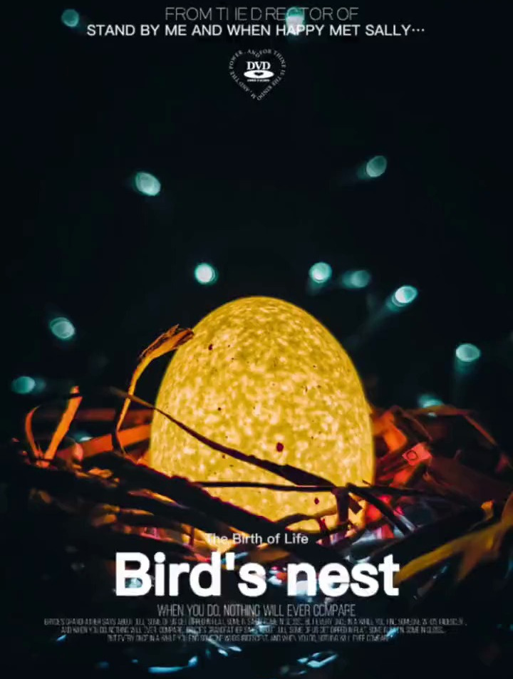 利用废弃的纸皮箱和鸡蛋拍出创意照片,快来试试吧