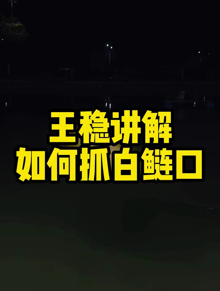 手竿钓白鲢,钓鱼大师王稳透露,这样抓口才正确!