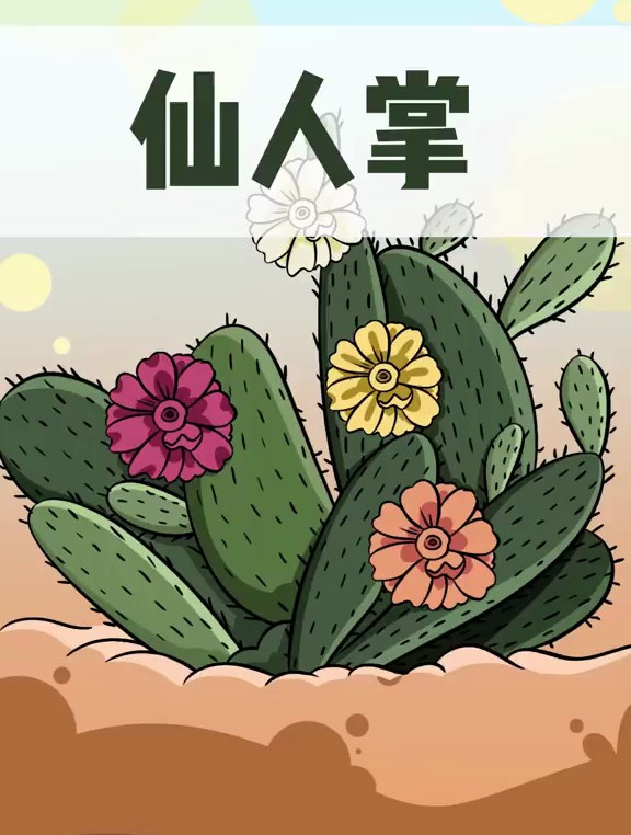 仙人掌有一百多种吃法,墨西哥人的主菜也太秀了!
