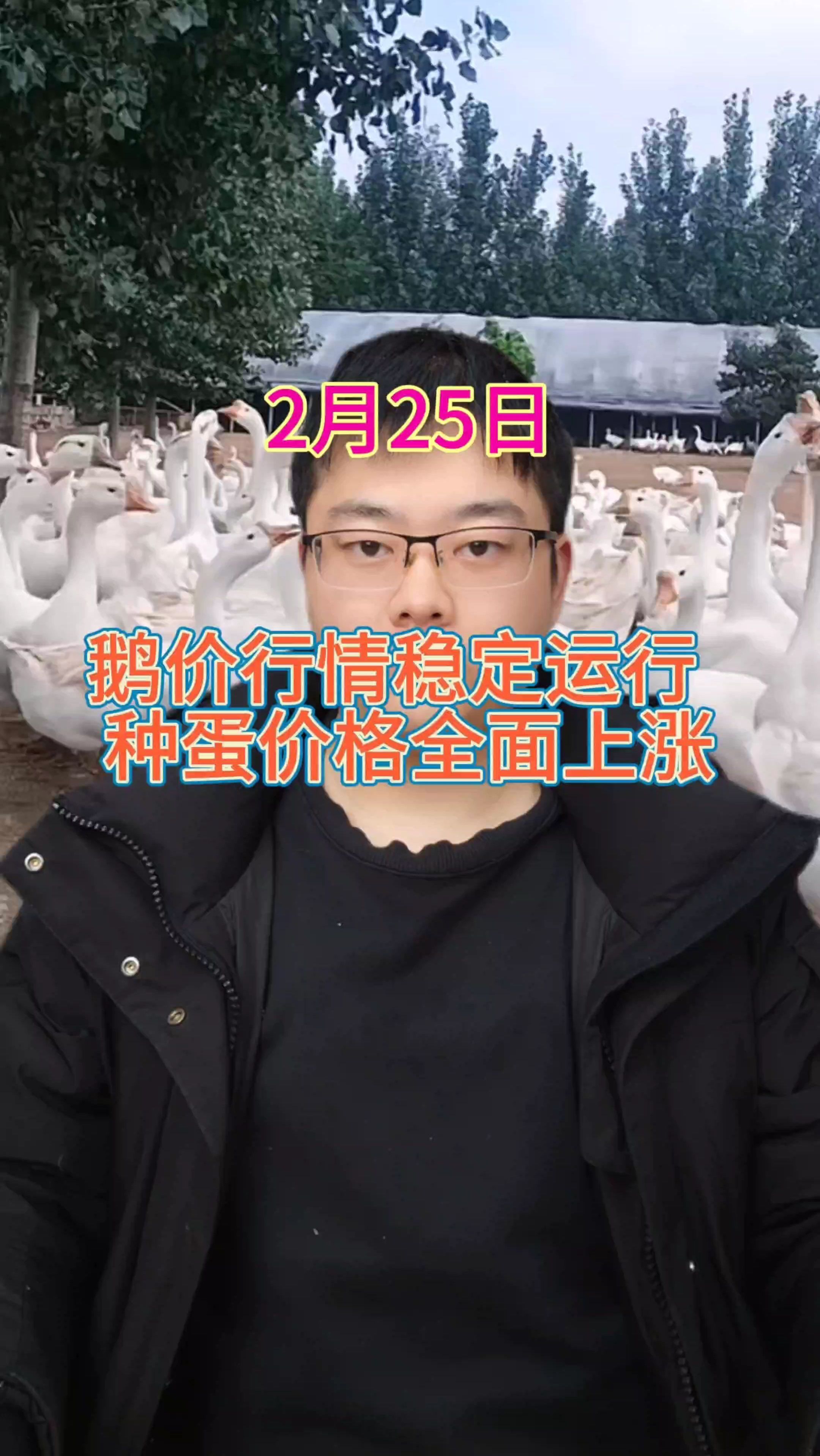 鹅价格最新报价 鹅价格是多少一斤 鹅价格能涨吗