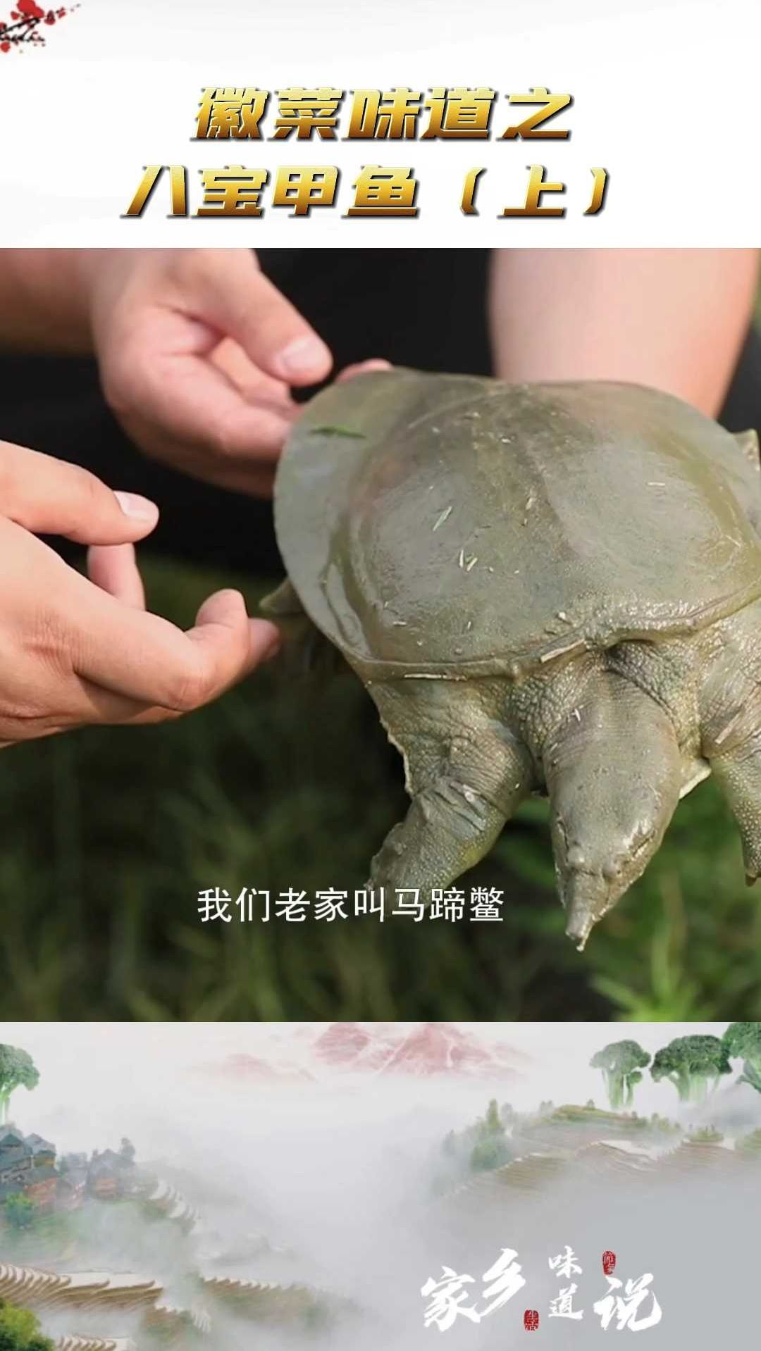 能写入徽菜食谱的菜,到底是什么?
