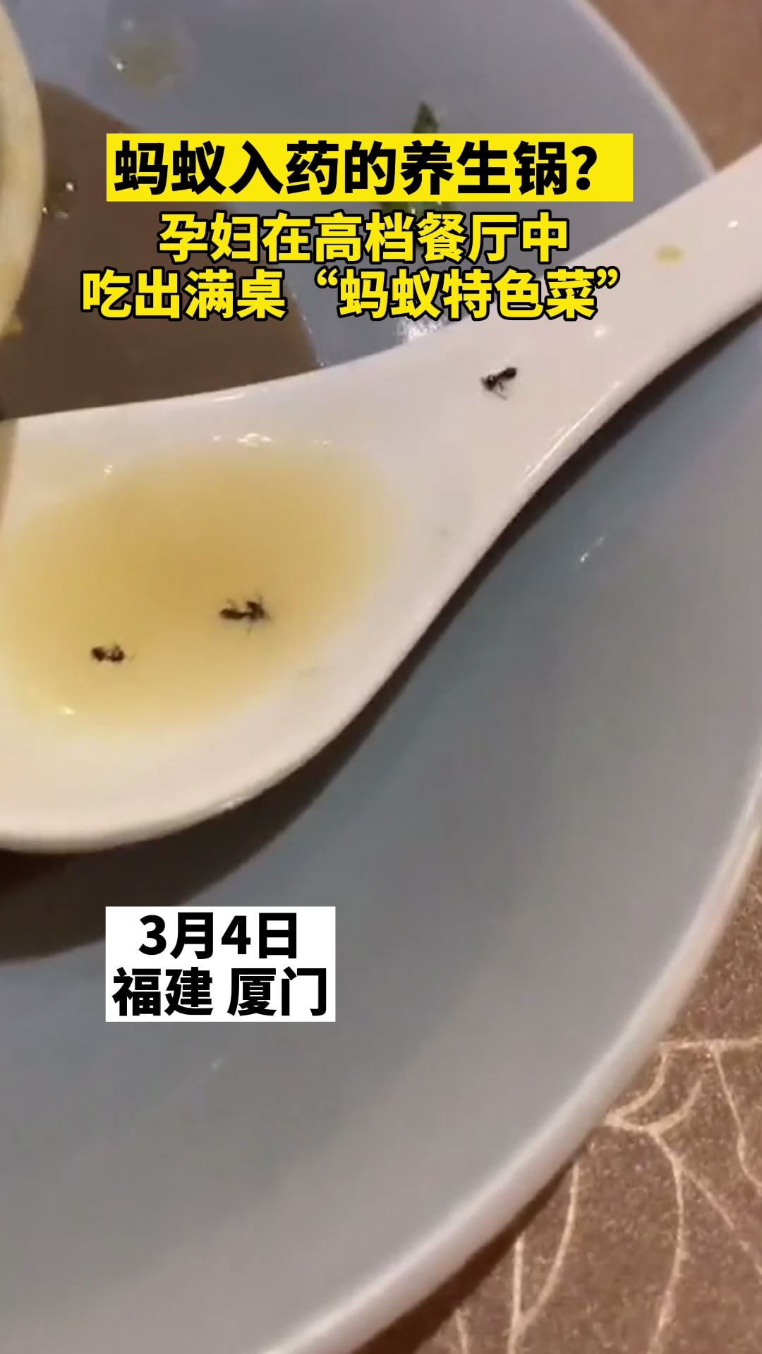 用蚂蚁入药的养生锅?4日福建厦门一孕妇在人均消费五百的高档餐厅中,吃出满桌“蚂蚁特色菜”