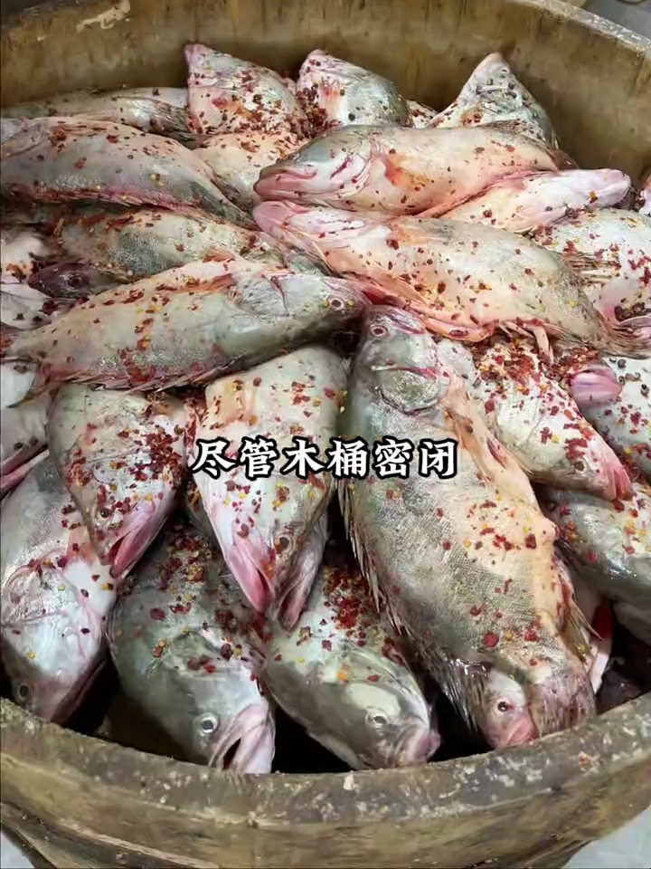 原来臭鳜鱼是这样来的,闻着臭吃着香