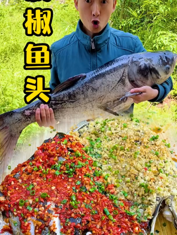 一条二三十斤1米多长的胖头鱼,做个剁椒鱼头太好吃了