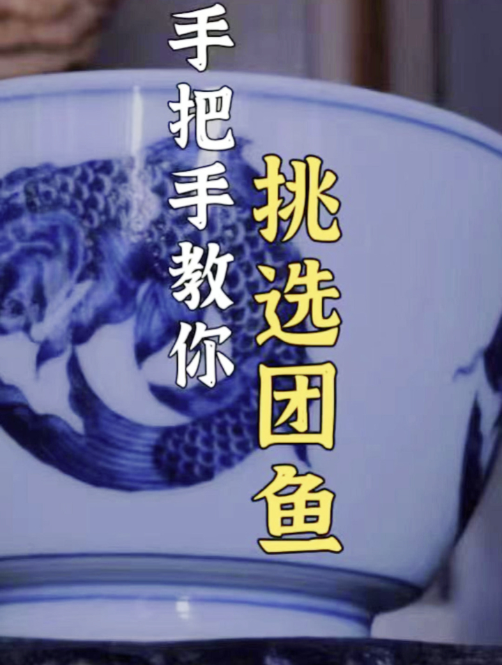 手把手教你挑选团鱼!