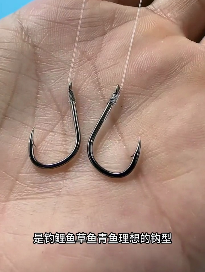 钓巨物如何选钩?钓鱼老手:建议使用伊势尼鱼钩,钓大物更轻松!