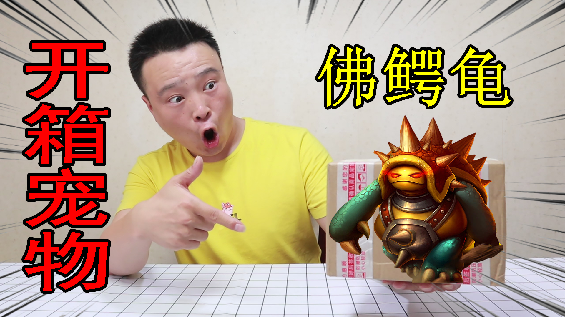 小浪哥开箱一对情侣“佛鳄龟”动物界咬合力榜三大哥,酷似鳄鱼!