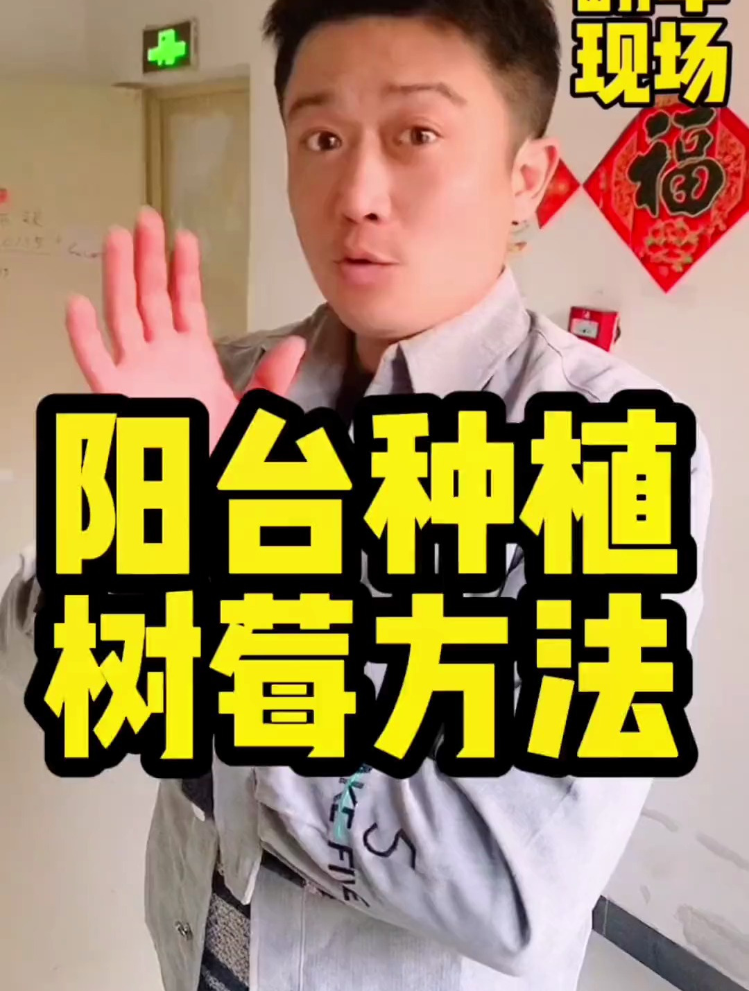 这应该是树莓种植里比较高产的方法,阳台种水果