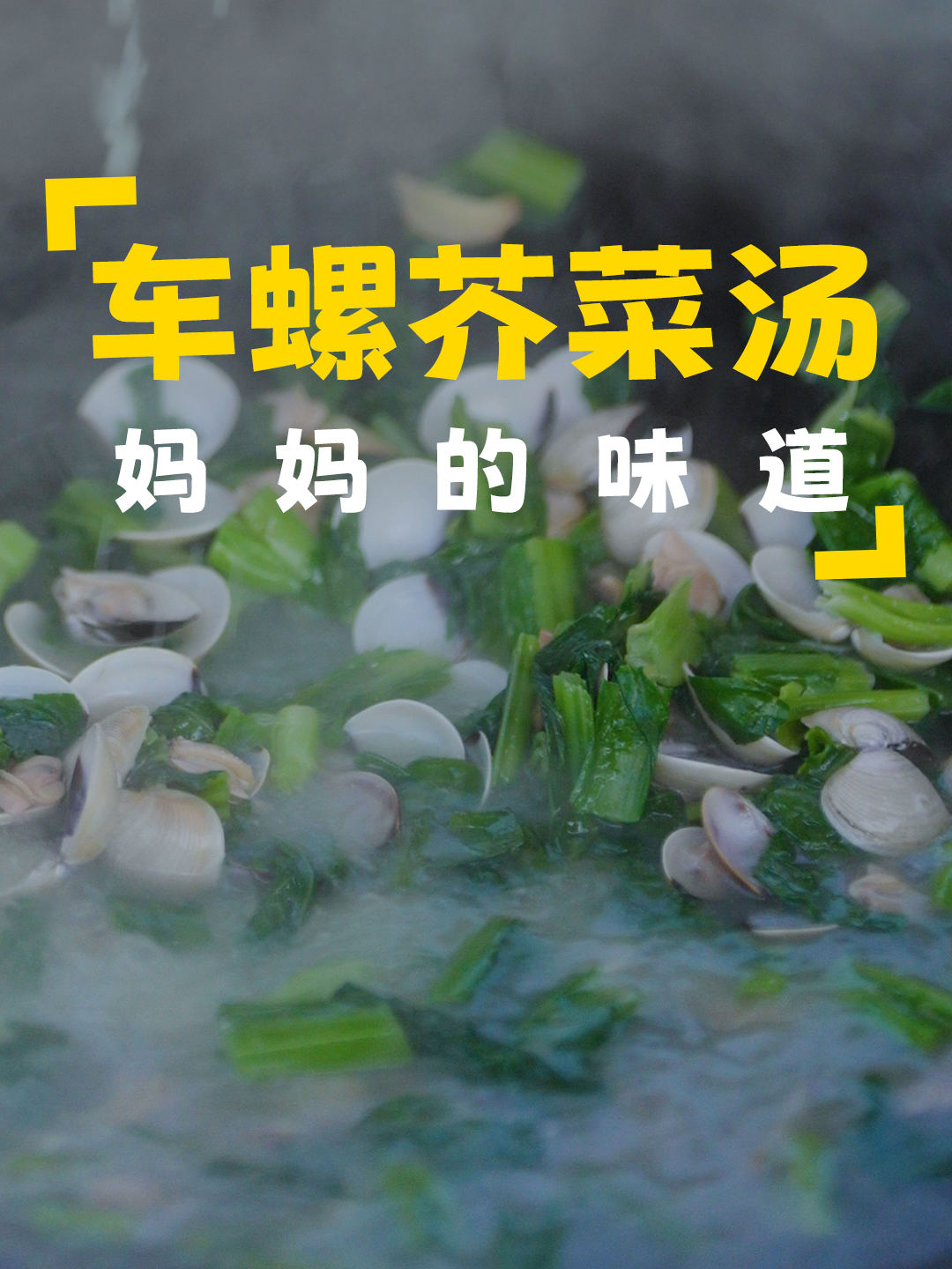 芥菜苗移栽,期待丰收,车螺肥,芥菜嫩,快来一碗芥菜车螺汤