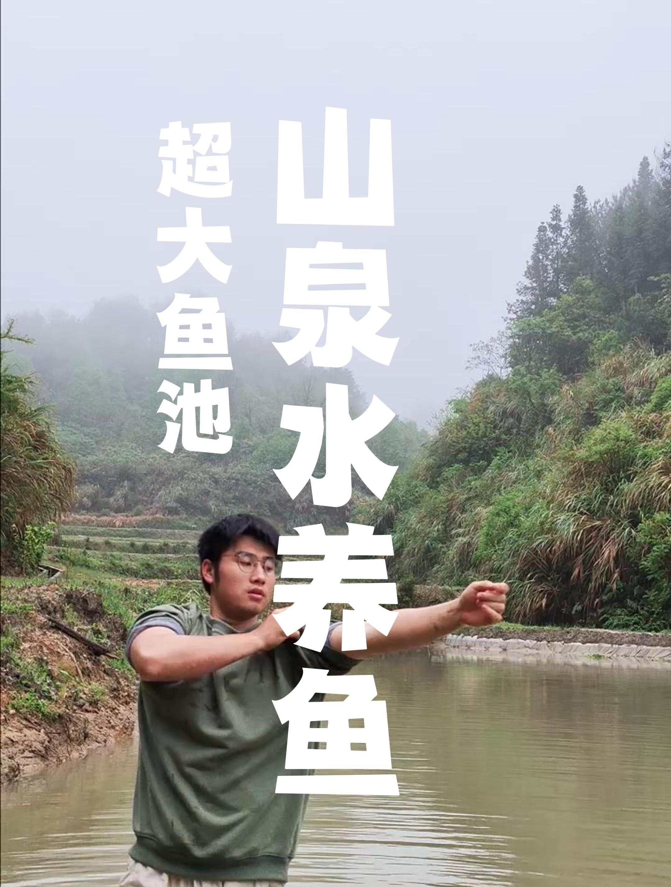 如何获得一个超大的莲花鱼池?