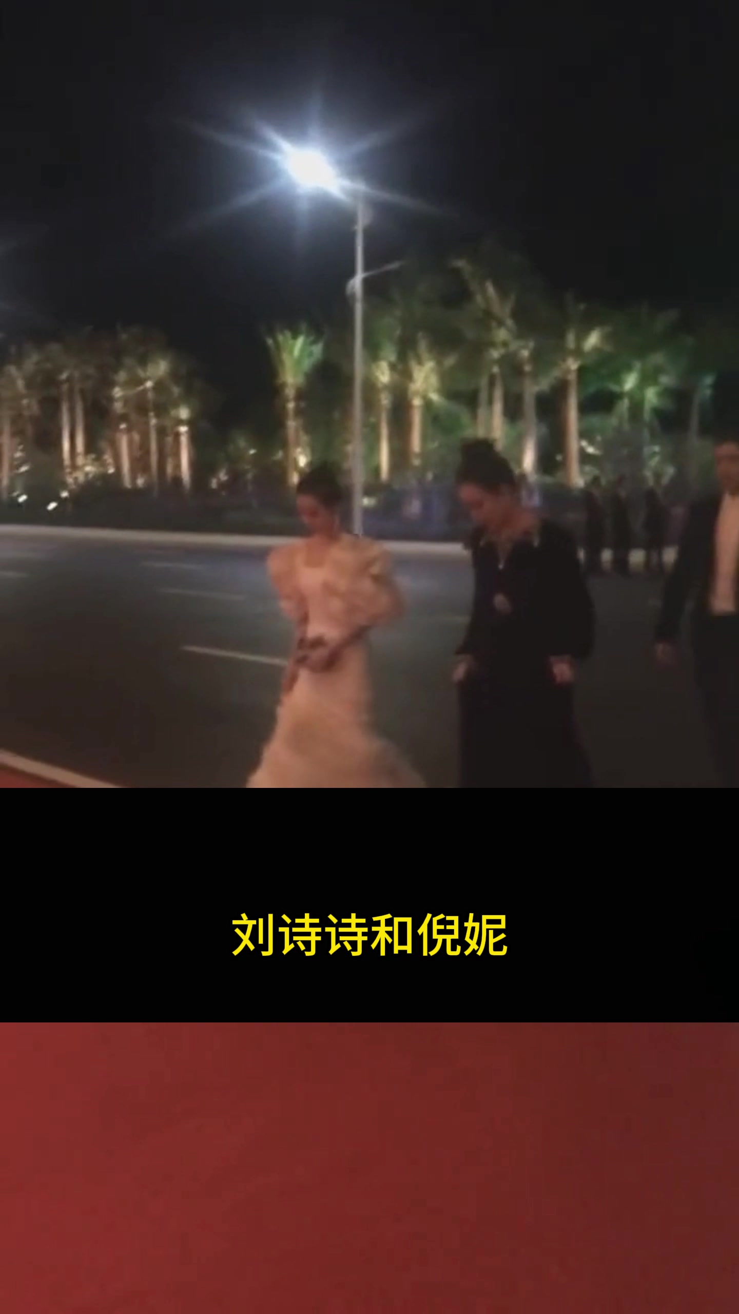 刘诗诗倪妮优雅的黑白天鹅