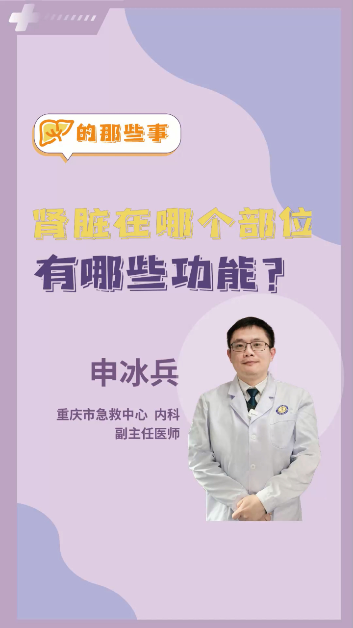 肾脏在哪个部位,有哪些功能?