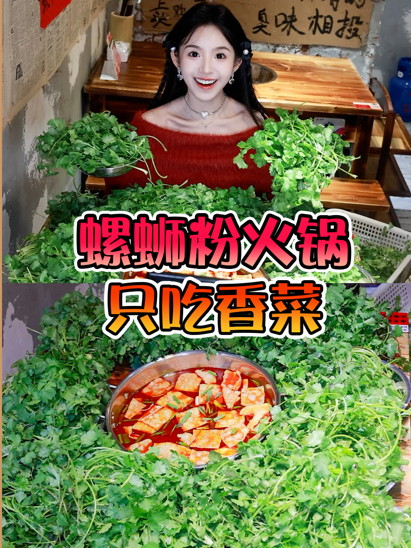 跟着小西吃美食,螺蛳粉香菜火锅