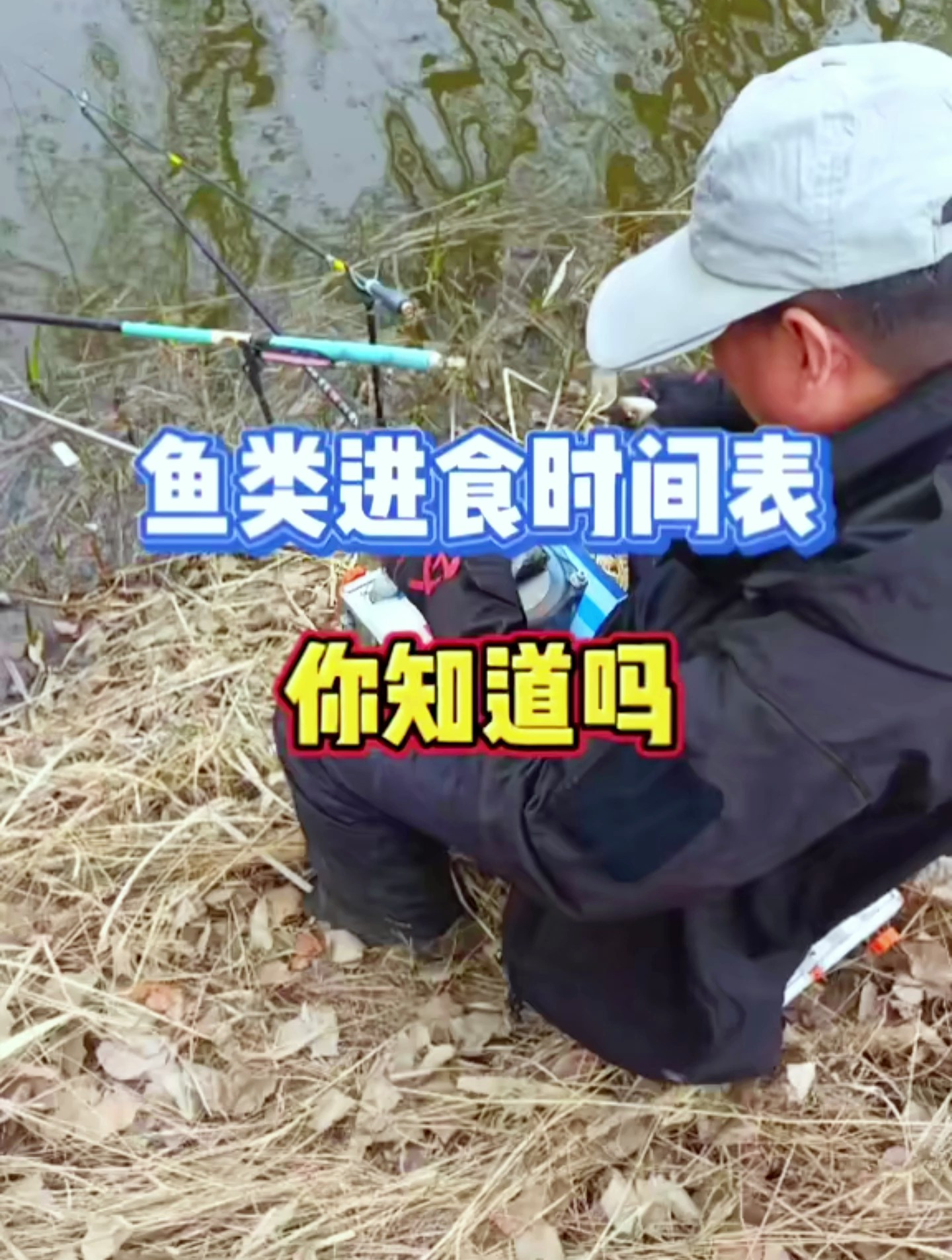 你知道鱼类进食的时间吗?二十年的钓鱼佬才能总结出来的经验!
