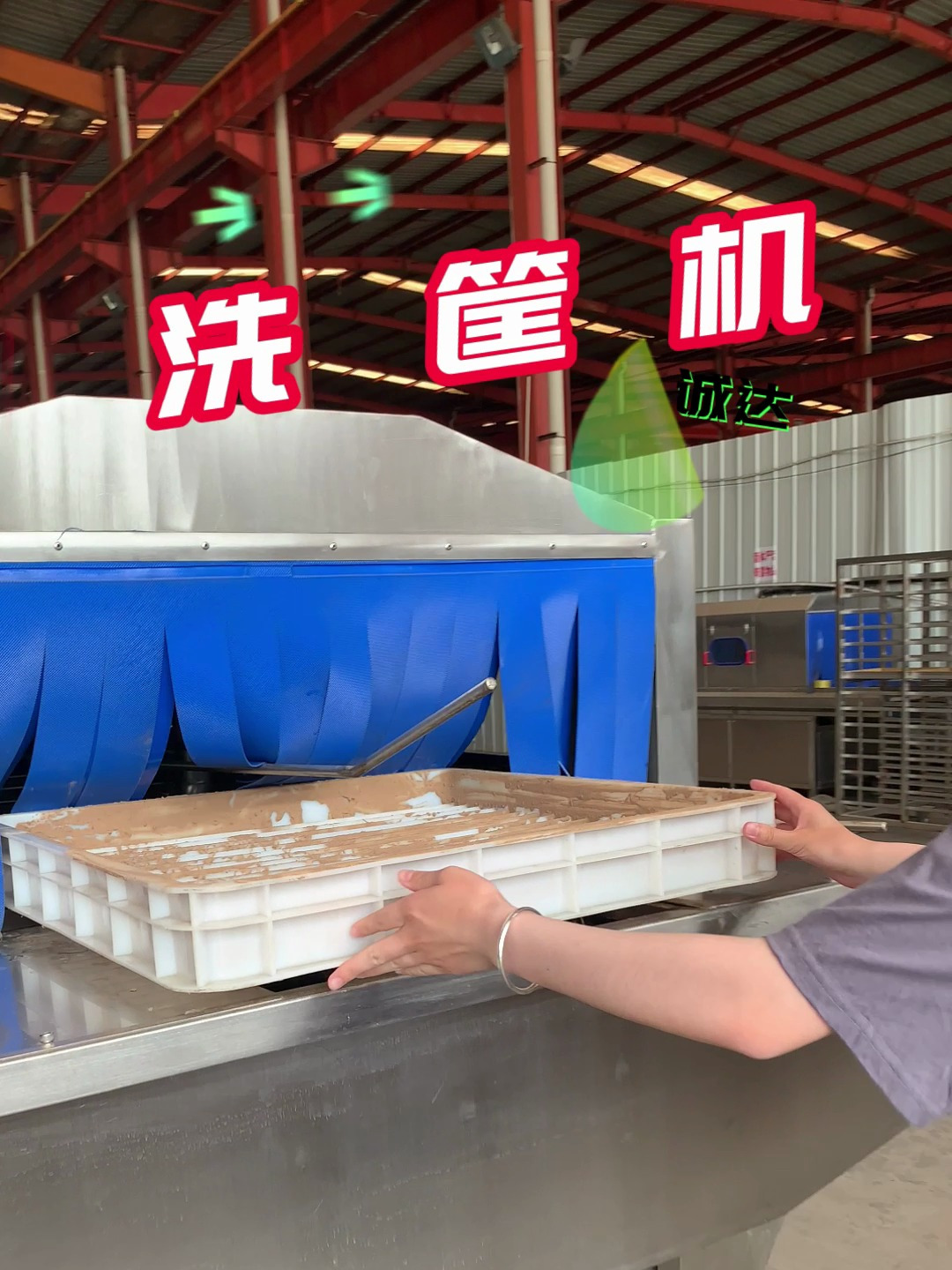 不锈钢托盘清洗机器设备,塑料周转筐清洗机器,鸡蛋托盘清洗机器