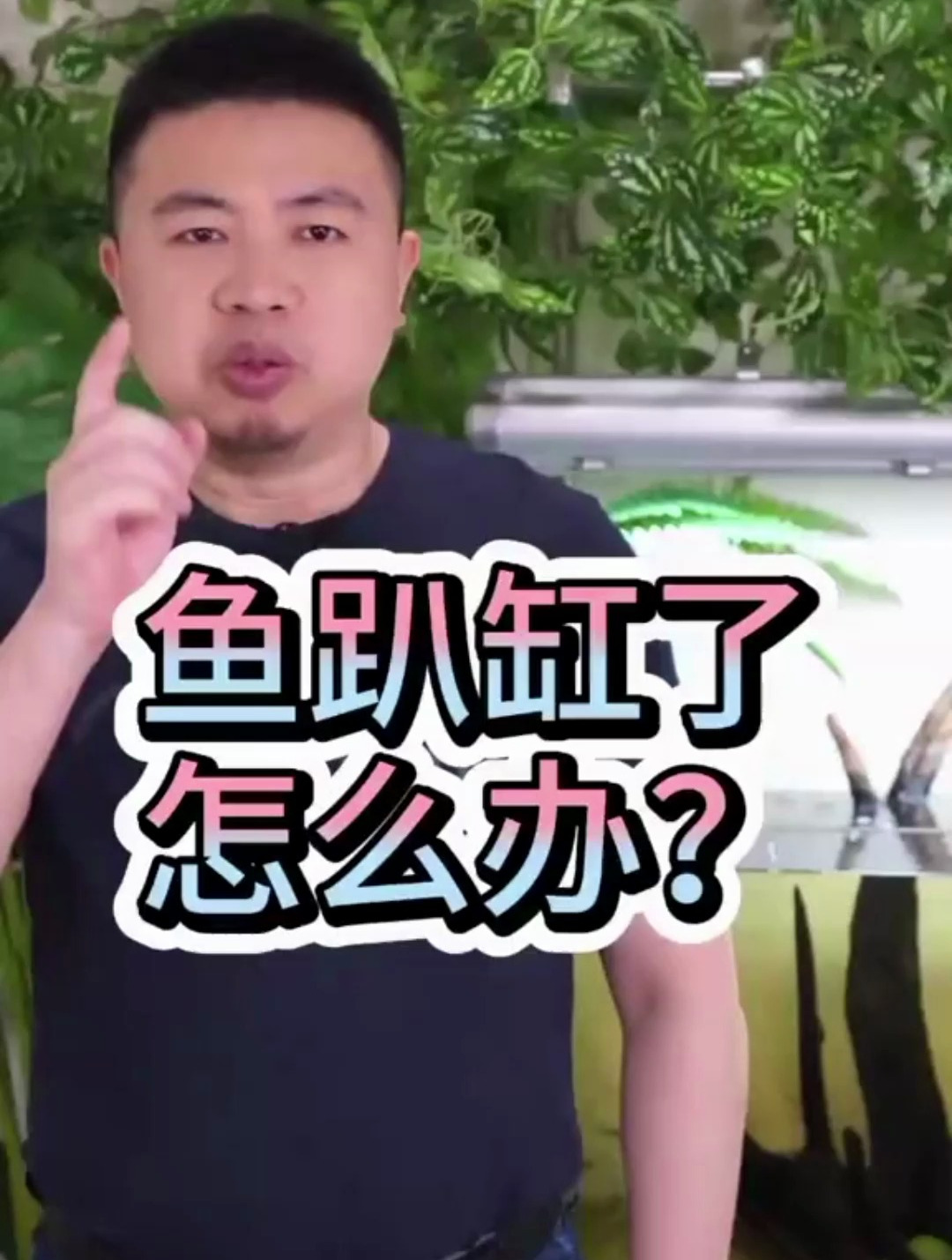 养的鱼天天趴缸底是什么原因 怎么办