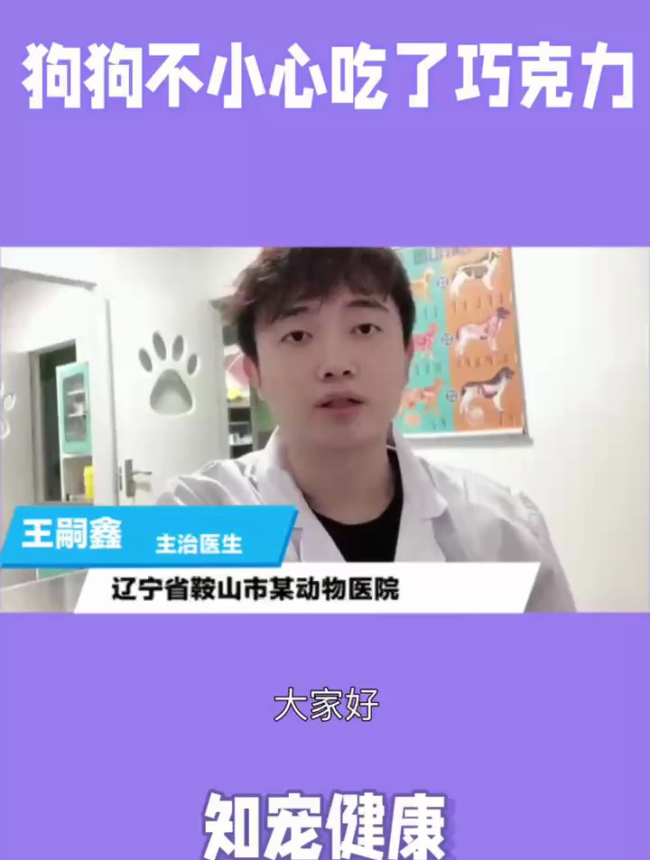 狗狗不小心吃了巧克力
