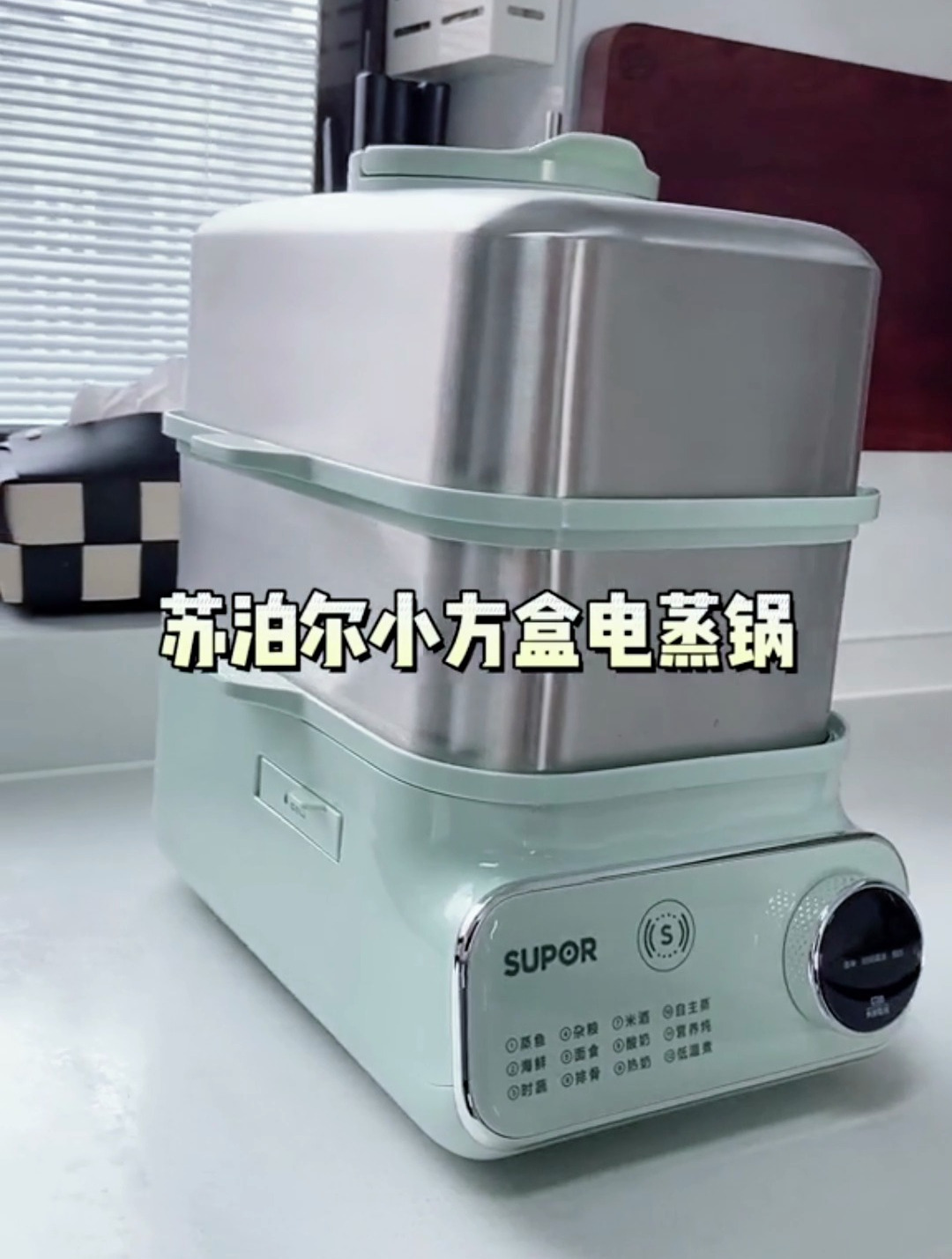 电蒸锅还是这种不锈钢的用着更放心