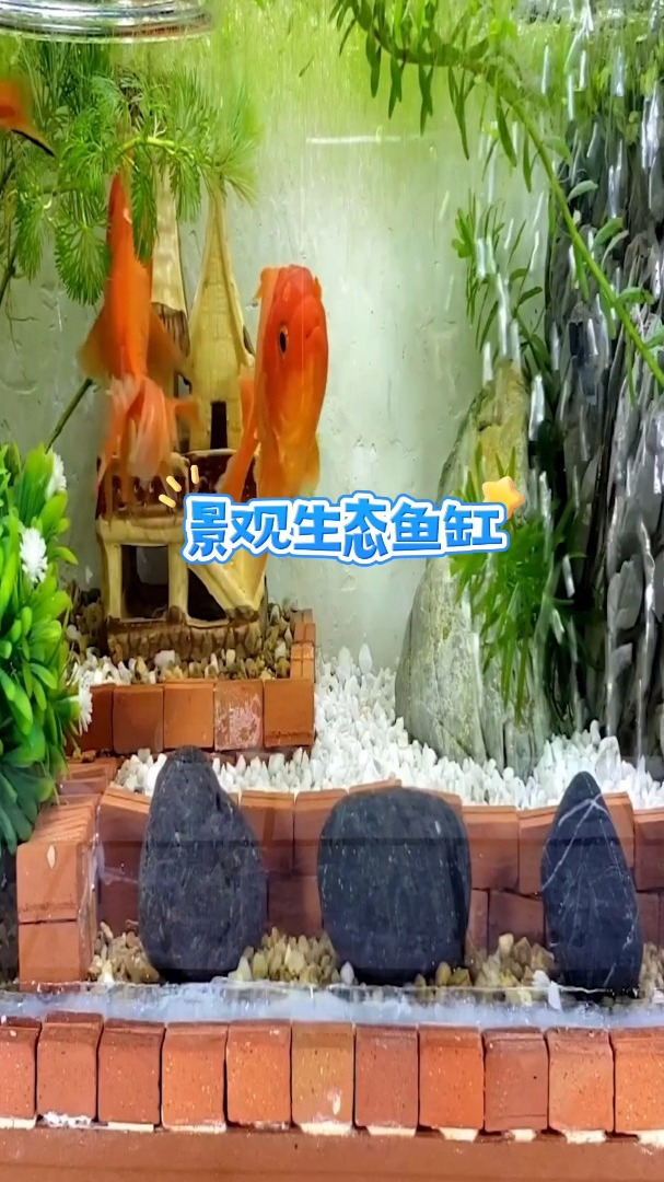 微景观鱼缸,里面有假山,有房子,有绿植,养起小金鱼真漂亮