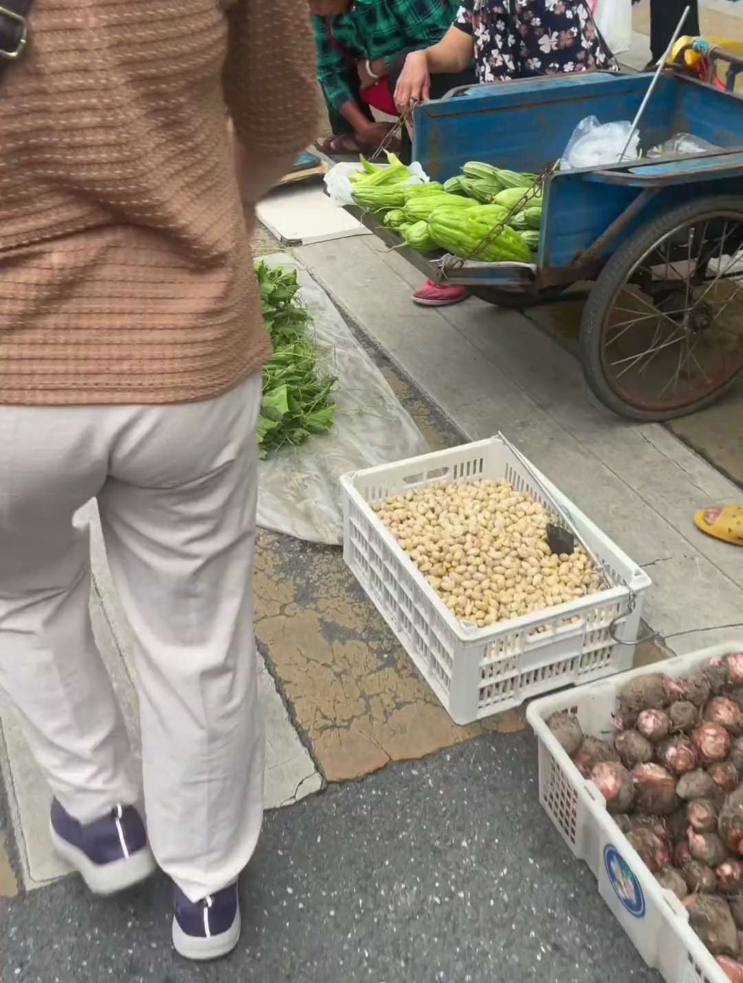 白果上市南雄特产八元一斤,可以煲汤煲糖水和腰果芹菜炒