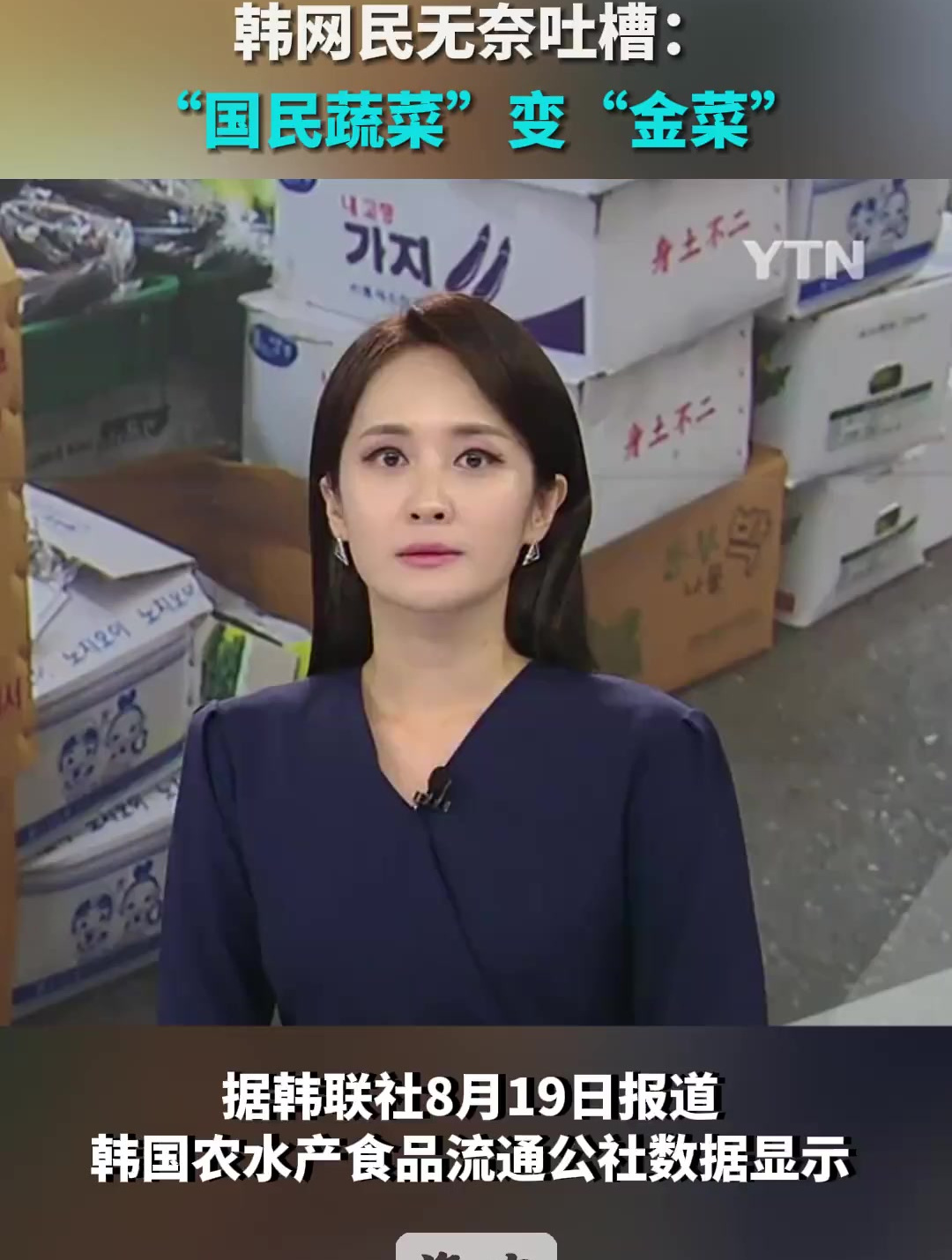 韩国大白菜涨到37元人民币一颗 韩网民吐槽:“国民蔬菜”变“金菜”