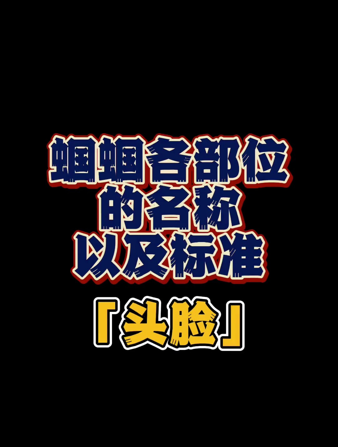 蝈蝈各部位的名称以及标准「头脸」