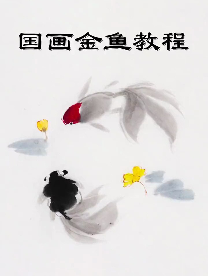 国画金鱼的教程