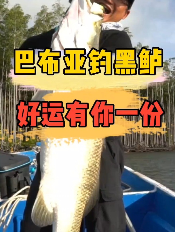 巴布亚钓黑鲈,跟鳄鱼抢大鱼!评论区老规矩,到十枚轨道鱼鳞铅笔