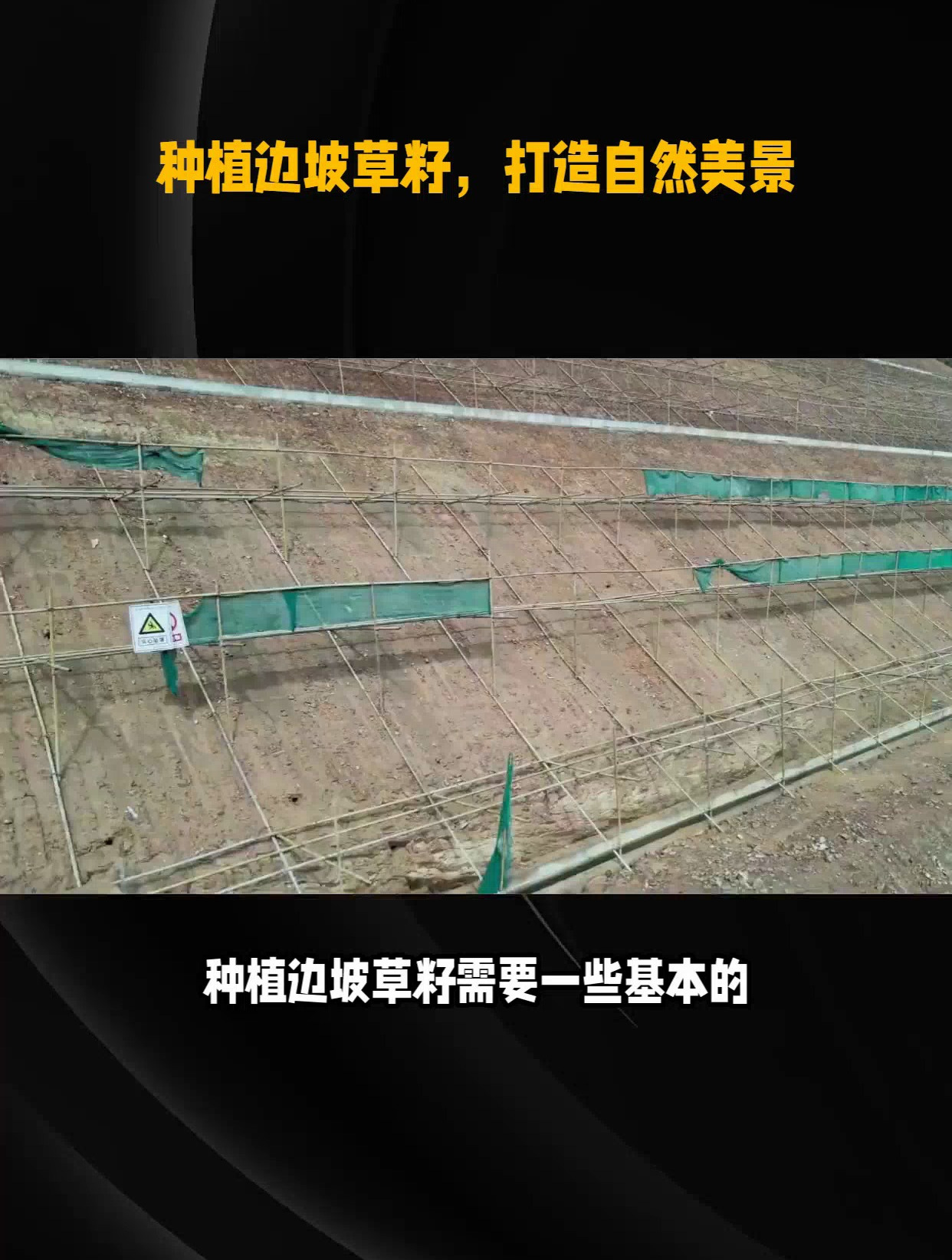 如何种植边坡草籽?快来看这份指南!