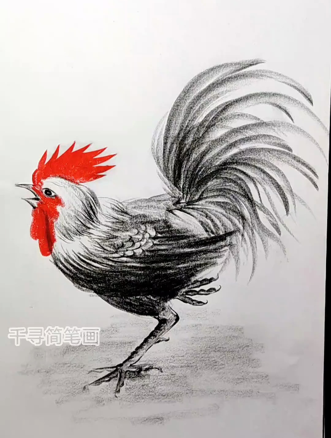 简单几笔画大公鸡 简笔画