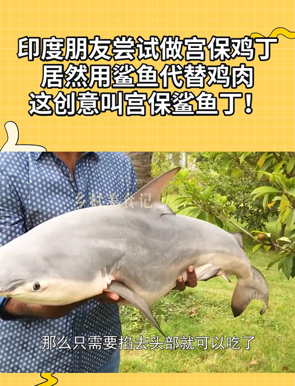印度朋友尝试做宫保鸡丁,居然用鲨鱼代替鸡肉,这创意叫宫保鲨鱼丁!