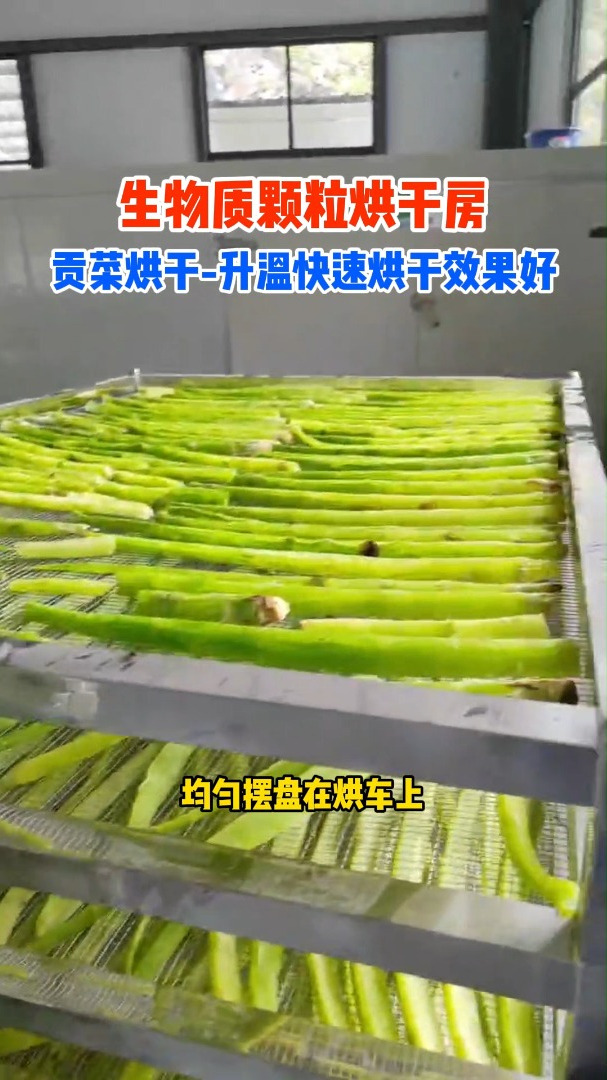 生物质颗粒烘干房-烘干贡菜-贡菜烘干房设备-升温快速烘干均匀