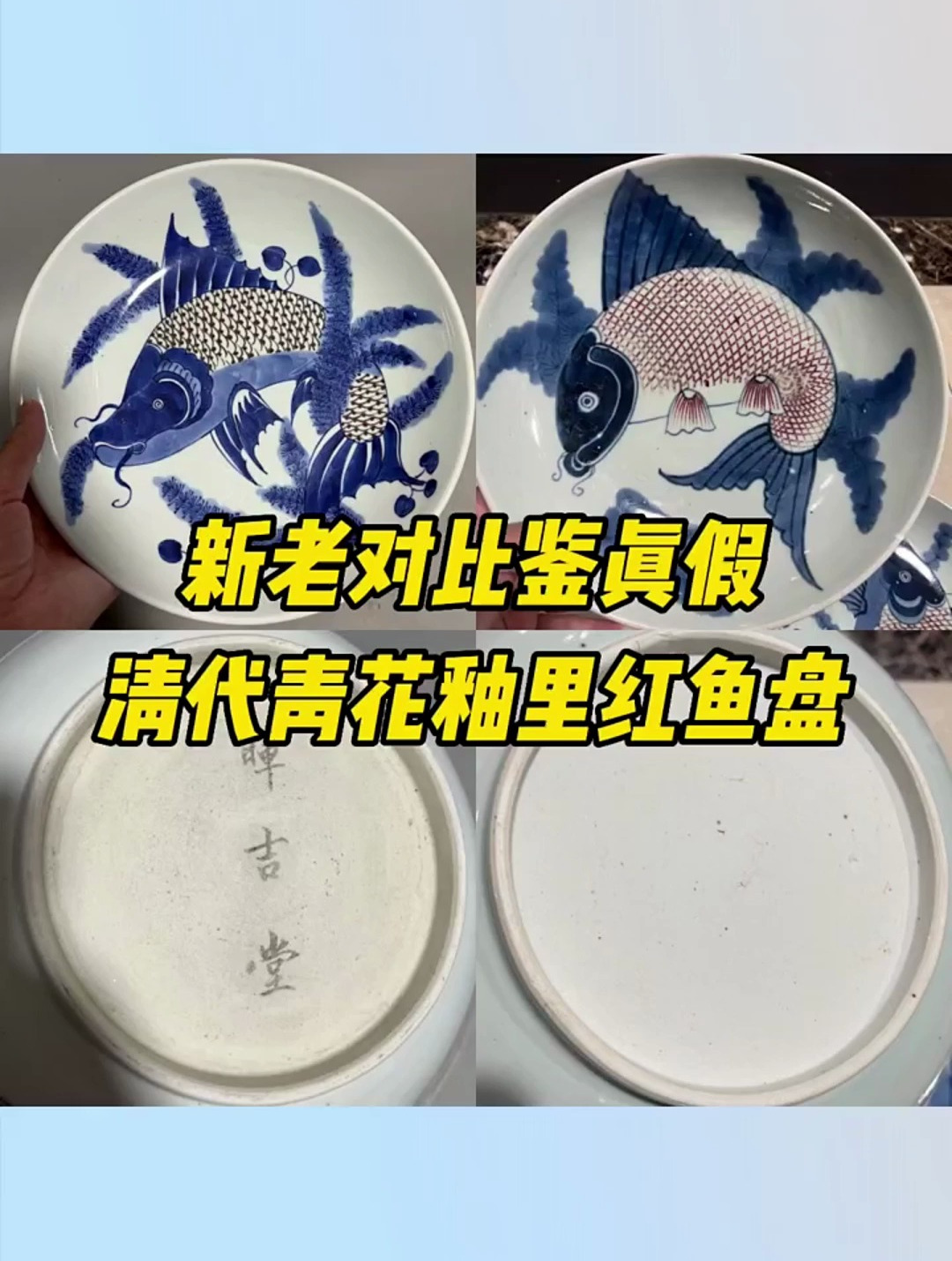 练眼力,鉴真假。清代乾隆青花釉里红鱼盘真假对比鉴定!