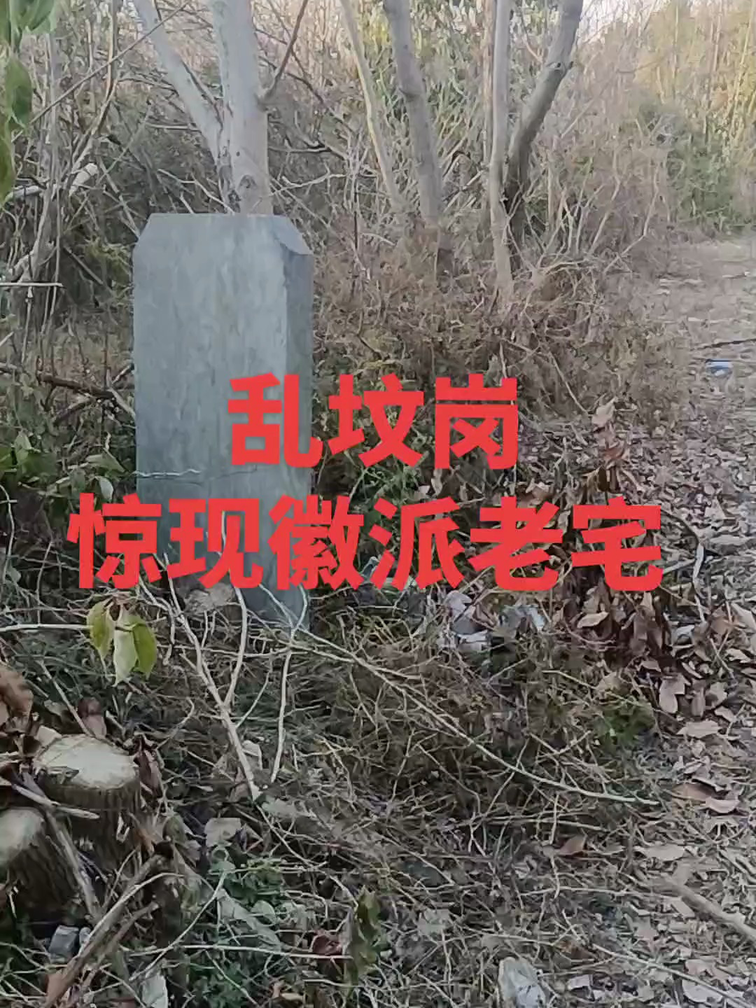 穿过乱坟岗,出现了一座清代徽派老宅。已经垮塌了可见荒废了很久