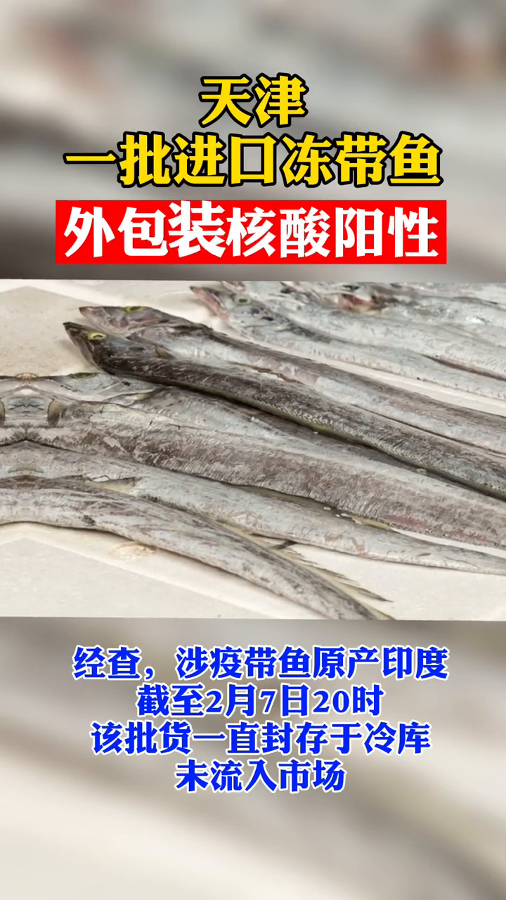 天津一批进口冻带鱼外包装阳性,未流入市场